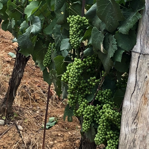 Meet your Posher, Cynthia - Picture 13 of 15